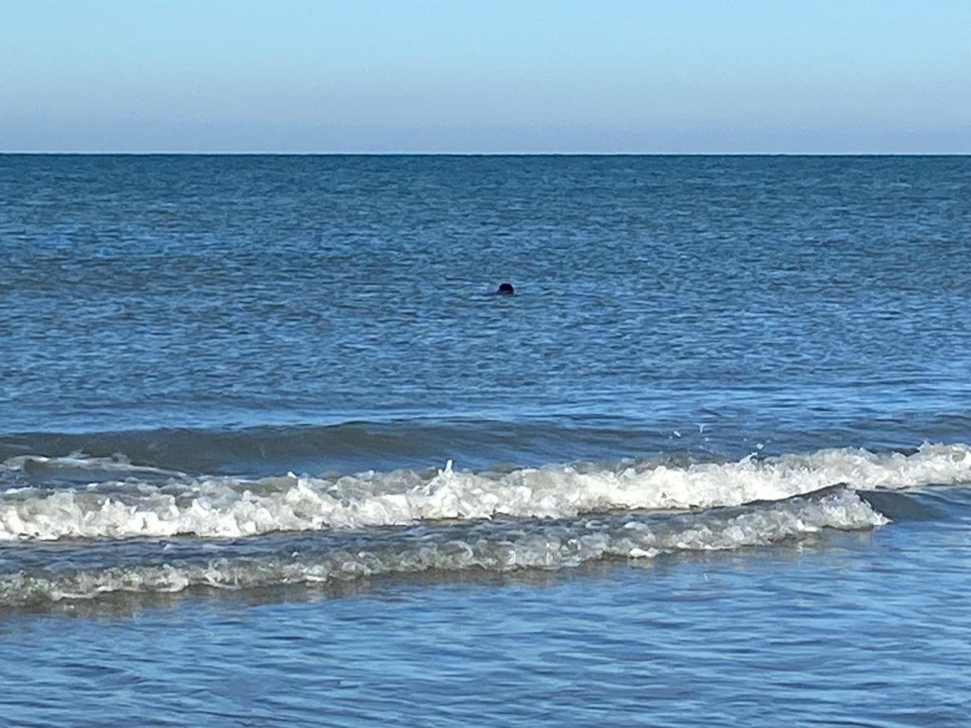 Cote Mer Ver-sur-Mer Esterno foto